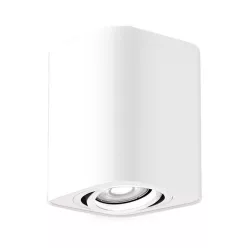 Rábalux KOBALD 2050 Felületi spotlámpa 1x42W/GU10 IP20