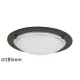 Rábalux UFO 5103 Plafonlámpa 1x60W/E27 IP20