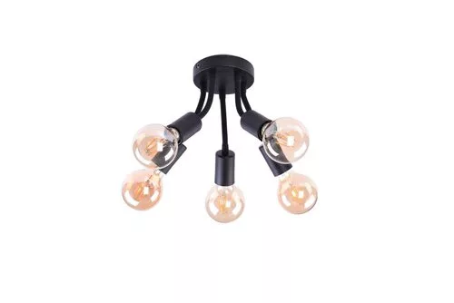 Rábalux ALMUS 6809 Plafonlámpa 5x60W/E27 IP20