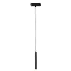 LiTrack Pend.04W