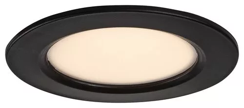 Shaun2