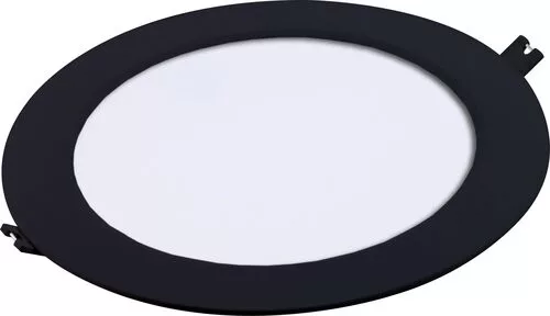 Shaun2
