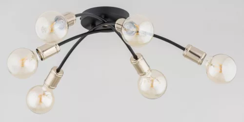 Alfa LENSI 63228 Plafonlámpa 6x15W/E27 IP20