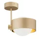 Argon MASSIMO 8568 Plafonlámpa 1x6W/G9 IP44