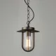 Astro Lighting MONTPARNASSE 1096010 Függőlámpa 1x60W/E27 IP44
