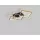 Aviano Lighting MATERA 9022-306M Plafonlámpa 1x37w/led 3000k 4300lm