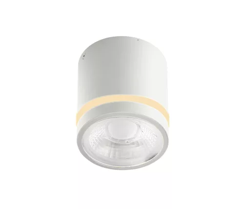 VICI IP44 12W CCT SWITCH WH