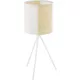 Eglo ARNHEM 43555 Asztali lámpa 1X40W/E27 IP20