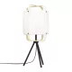 Eglo SURFLEET 43934 Asztali lámpa 1x40W/E27 IP20