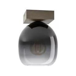 Eglo FILAGO 900825 Plafonlámpa 1x40W/E27 IP20