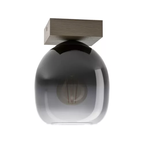 Eglo FILAGO 900825 Plafonlámpa 1x40W/E27 IP20