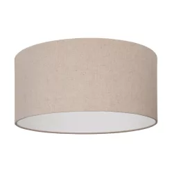 Eglo FENIGLIA 900858 mennyezeti lámpa 1x40W/E27 IP20