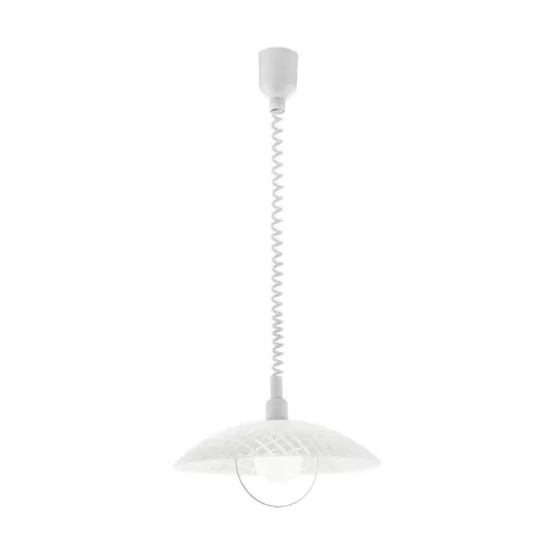 Eglo ALVEZ 96474 Függőlámpa 1x60W/E27