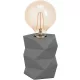 Eglo SWARBY 98859 Asztali lámpa 1X60W/E27 IP20