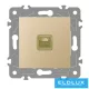 ELDGROUND 1×RJ45 Cat.6 UTP aljzat Arany