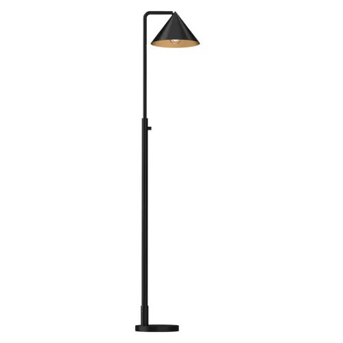Elstead Lighting Remyck ALM-REMYCK-FL-BK Állólámpa 1x60W/E27 IP20