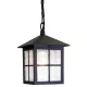 Elstead Lighting WINCHESTER BL18B-BLACK Függőlámpa 1x60W/E27 IP43