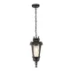 Elstead Lighting BALTIMORE BT8-M Függőlámpa 1x60W/E27 IP23