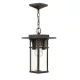 Hinkley Lighting MANHATTAN HK-MANHATTAN8-S Függőlámpa 1x60W/E27 IP23
