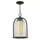 Hinkley Lighting QUINCY HK-QUINCY8-M Függőlámpa 1x60W/E27 IP23