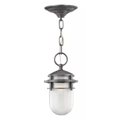  Hinkley Lighting REEF HK-REEF8-HE Függőlámpa 1x60W/E27 IP23
