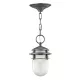 Hinkley Lighting REEF HK-REEF8-HE Függőlámpa 1x60W/E27 IP23