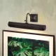 Elstead Lighting PICTURE LIGHTS PL1-20-DB Képlámpa 2x40W/E14