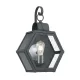 Quintiesse HEATH QN-HEATH-M-MB Fali lámpa 1x60W/E27 IP44