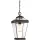 Quoizel RAVINE QZ-RAVINE8-M Függőlámpa 1x60W/E27 IP44
