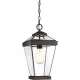 Quoizel RAVINE QZ-RAVINE8-M Függőlámpa 1x60W/E27 IP44
