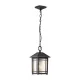 Quoizel Cedar Point QZ-CEDAR-POINT8-M-BK Függeszték 1x60W/E27 IP44