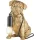 Endon Pug puppy 107324 Asztali lámpa 1x7w/e14 ip20