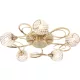 Endon AHERNE 73757 Plafonlámpa 5x33W/G9 IP20
