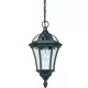 Endon DRAYTON YG-3503 Függőlámpa 1x60W/E27 IP44