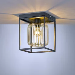 Fischer&Honsel Caydo 21294 Plafonlámpa 1x40W/E27 IP20