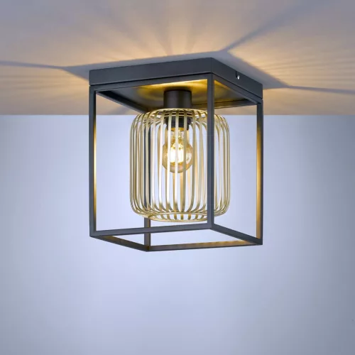 Fischer&Honsel Caydo 21294 Plafonlámpa 1x40W/E27 IP20