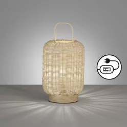 Fischer&Honsel Nature 50738 Asztali lámpa 1x25W/E14 IP20
