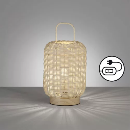 Fischer&Honsel Nature 50738 Asztali lámpa 1x25W/E14 IP20