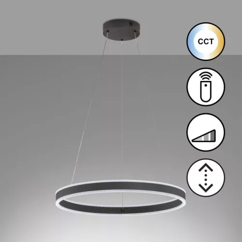 Fischer&Honsel Sirko 61048 Lepel lámpa 1x54W/LED 2700K 8500 lm IP20
