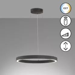   Fischer&Honsel Sirko 61049 Lepel lámpa 1x56W/LED 2700K 8000 lm IP20