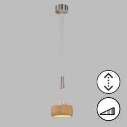   Fischer&Honsel SHINE-WOOD 61075 Lepel lámpa 1x9W/LED 2700K 950 lm IP20