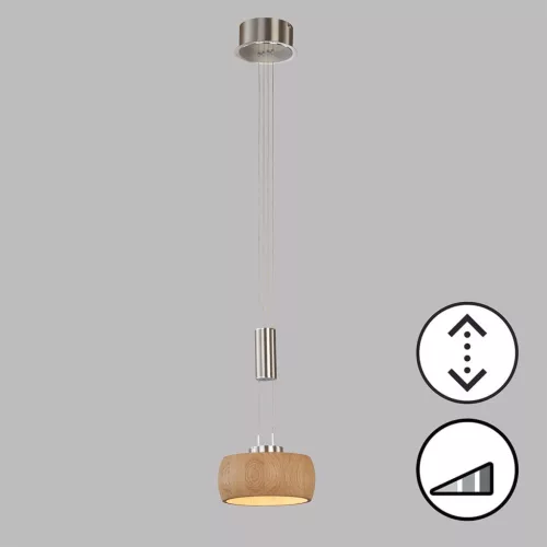Fischer&Honsel SHINE-WOOD 61075 Lepel lámpa 1x9W/LED 2700K 950 lm IP20