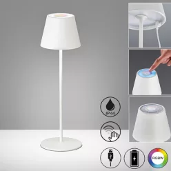   Fisher&Honsel Cosenza 850211 Asztali lámpa 2x2W/LED RGBW 270lm IP44