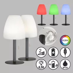   Fisher&Honsel Fiumara 850247 Asztali lámpa 2x1.5W/LED RGBW 170lm IP44