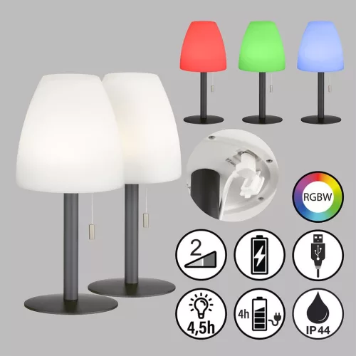 Fisher&Honsel Fiumara 850247 Asztali lámpa 2x1.5W/LED RGBW 170lm IP44