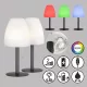 Fisher&Honsel Fiumara 850247 Asztali lámpa 2x1.5W/LED RGBW 170lm IP44