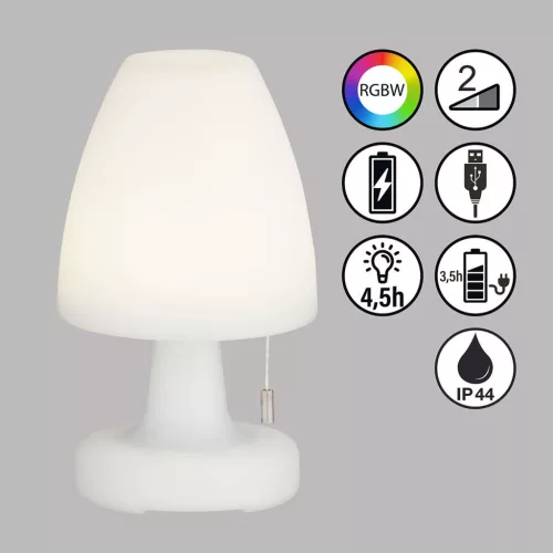 Fisher&Honsel Termoli 850250 Asztali lámpa 2x1.5W/LED RGBW 170lm IP44