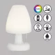 Fisher&Honsel Termoli 850250 Asztali lámpa 2x1.5W/LED RGBW 170lm IP44
