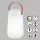 Fisher&Honsel Collgar 850282 Asztali lámpa 2x0.5W/LED RGBW 40lm IP44