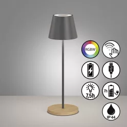   Fisher&Honsel Cosenza 850329 Asztali lámpa 2x2W/LED RGBW 270lm IP44